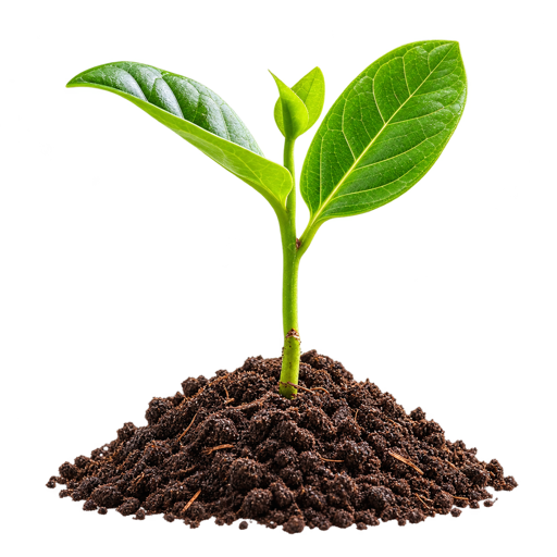 A young green seedling growing from a mound of dark soil.
