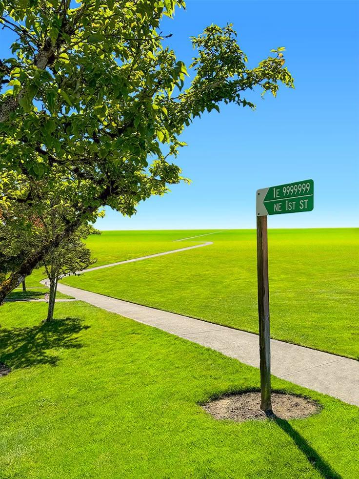 A bright green park with a tree, sidewalk, and street sign.