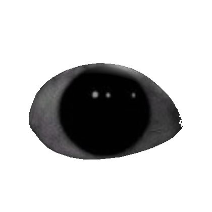A fifth watching void eye.